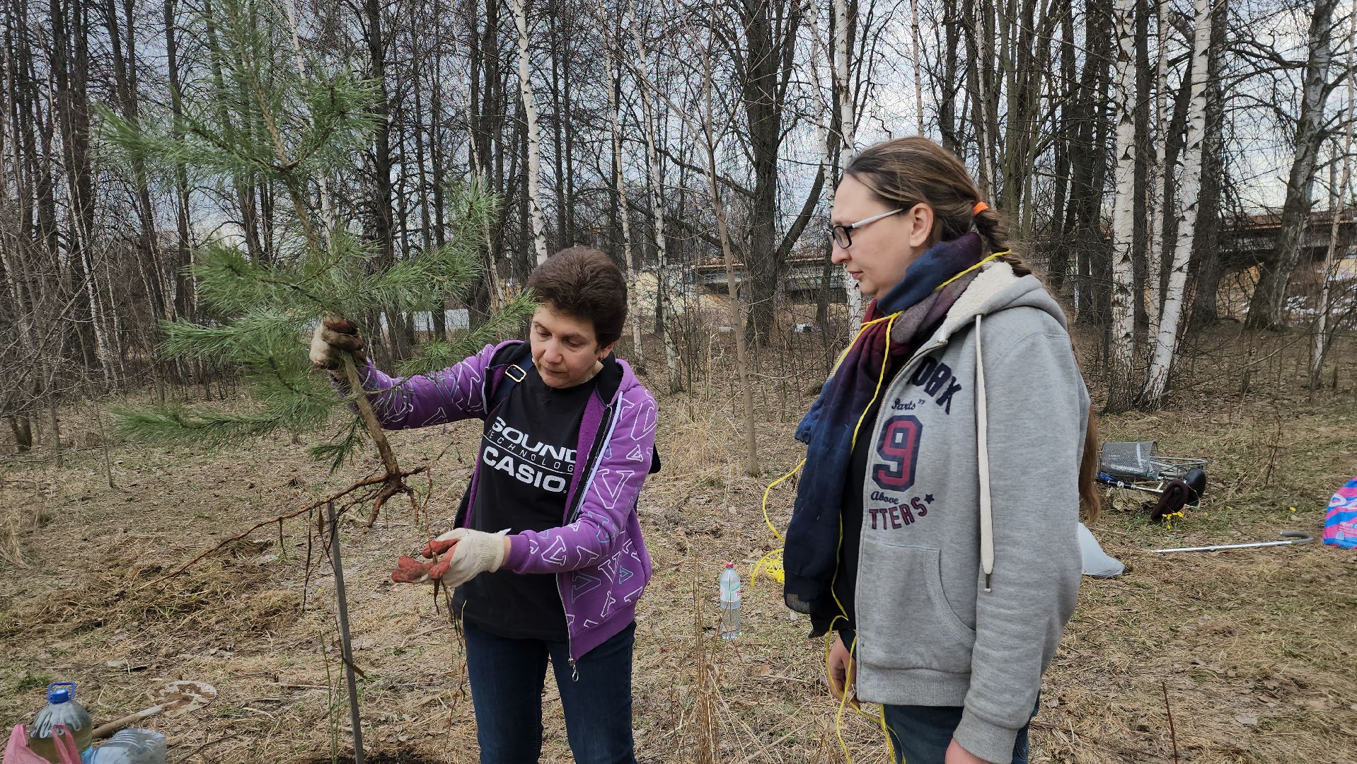 пушкино, микрорайон, высадка деревьев, сосна, ель, дуб, клен, калина, волонтеры, жители, активисты,