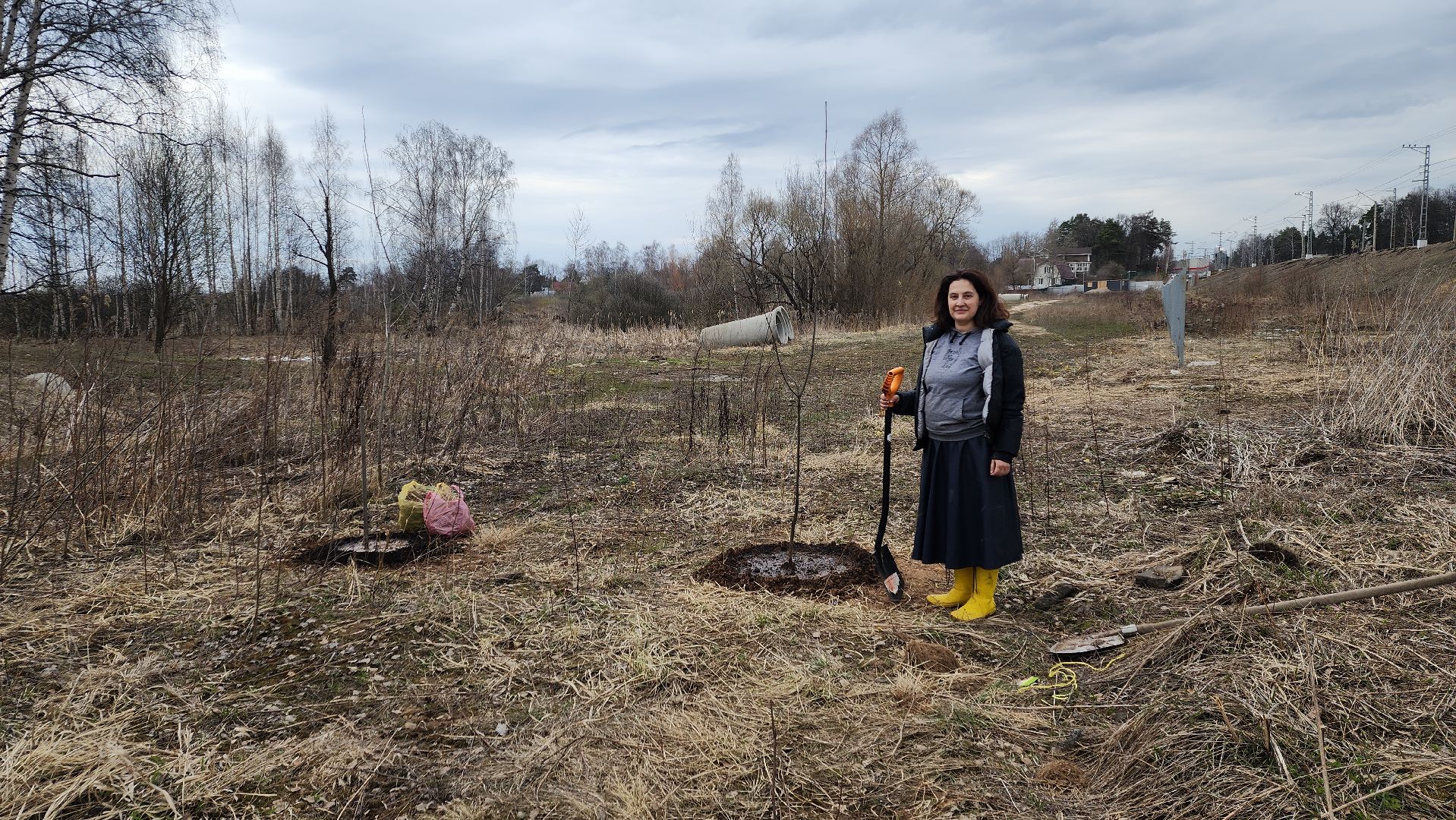 пушкино, микрорайон, высадка деревьев, сосна, ель, дуб, клен, калина, волонтеры, жители, активисты,