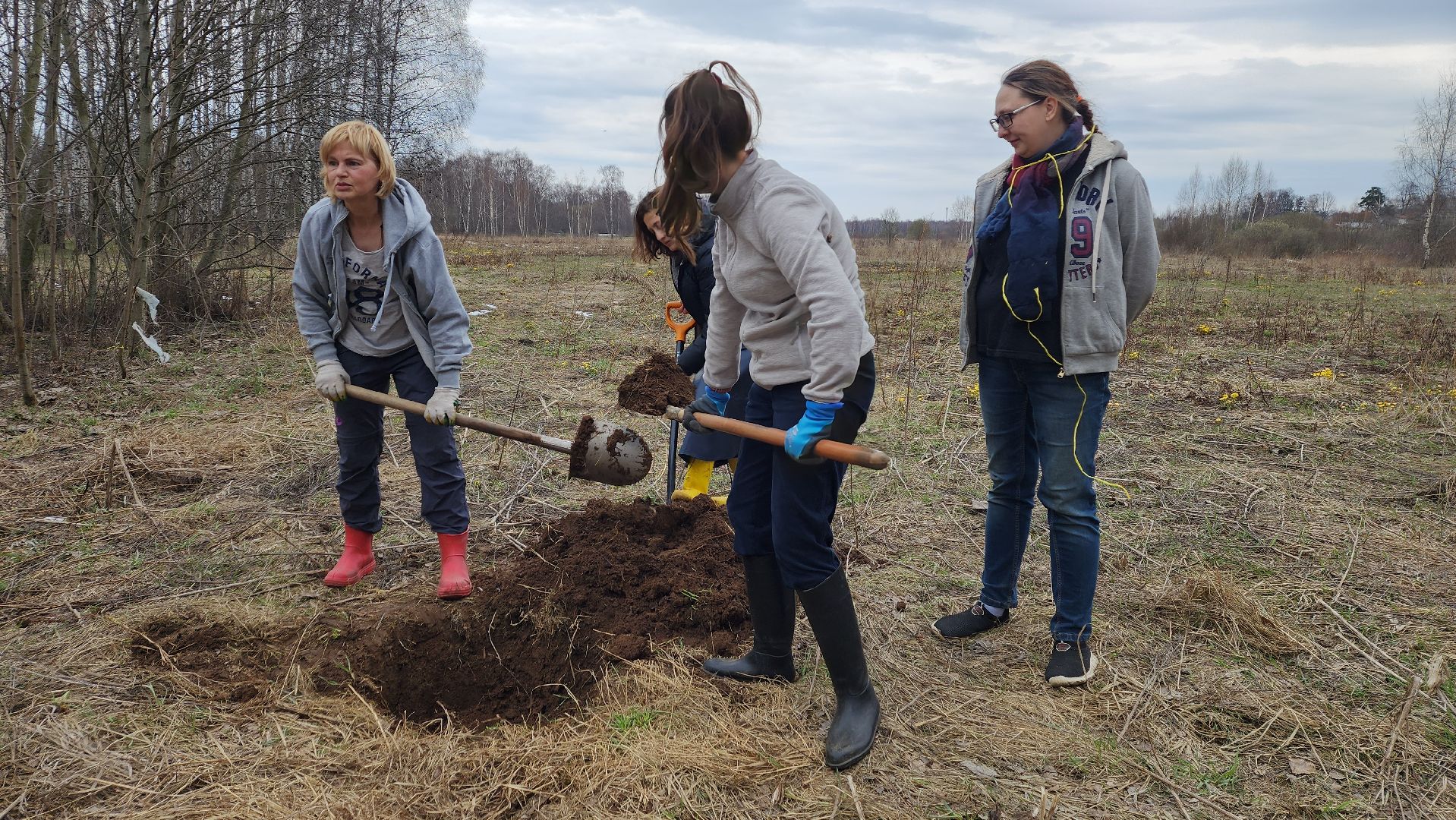 пушкино, микрорайон, высадка деревьев, сосна, ель, дуб, клен, калина, волонтеры, жители, активисты,