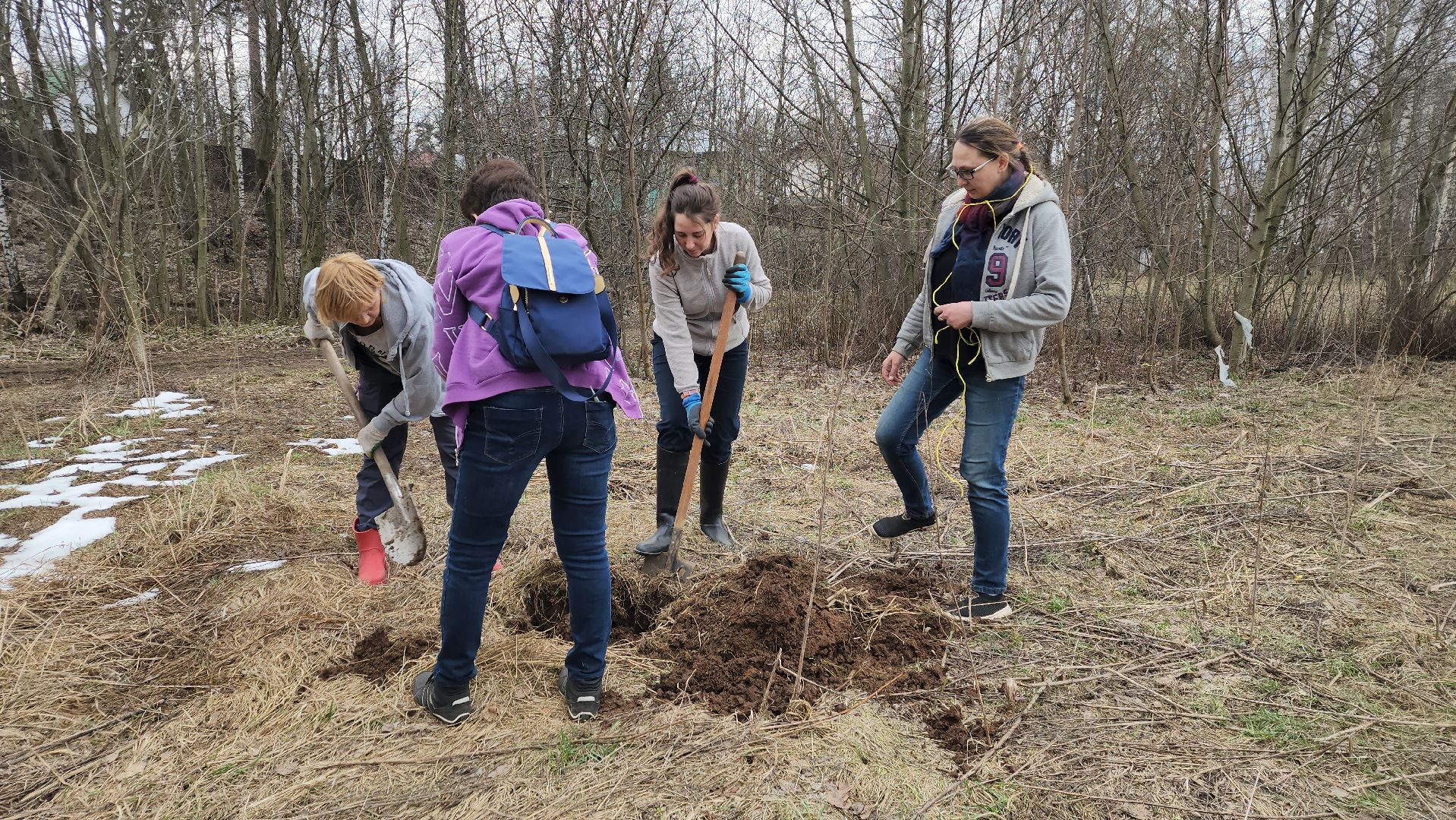 пушкино, микрорайон, высадка деревьев, сосна, ель, дуб, клен, калина, волонтеры, жители, активисты,