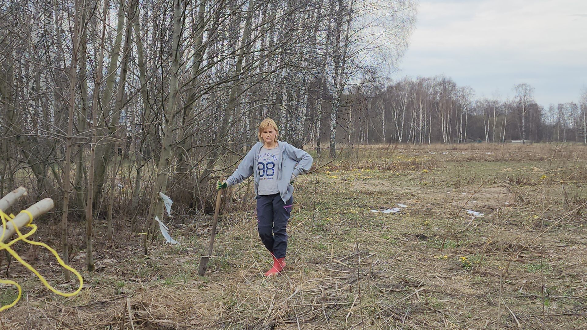 пушкино, микрорайон, высадка деревьев, сосна, ель, дуб, клен, калина, волонтеры, жители, активисты,