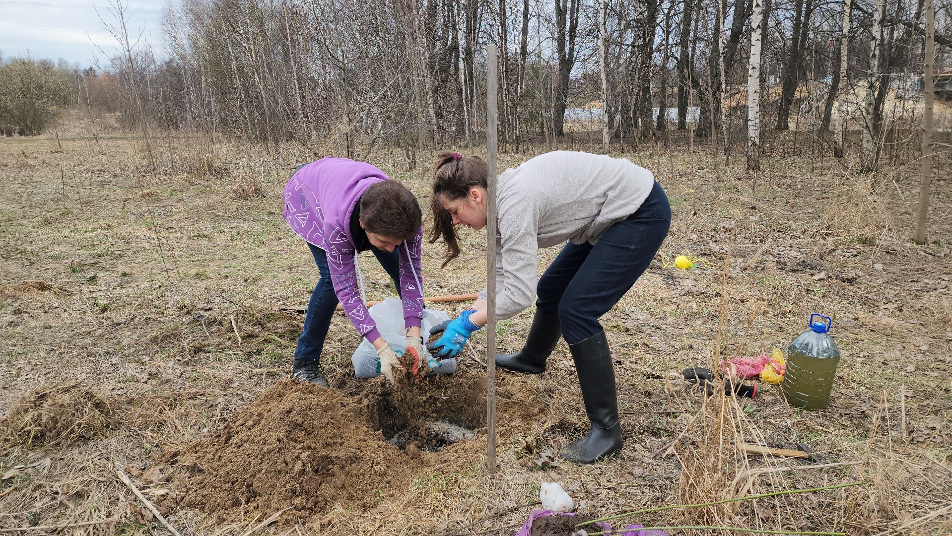 пушкино, микрорайон, высадка деревьев, сосна, ель, дуб, клен, калина, волонтеры, жители, активисты,