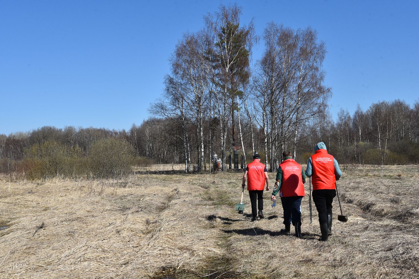 лотошино, волонтер подмосковья, день победы,