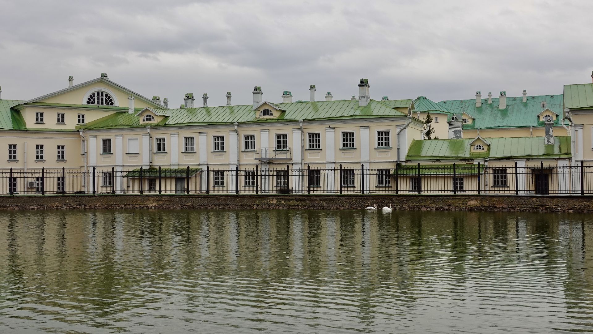 сергиев посад, сергиево-посадский городской округ, белые лебеди , весна, природа , эксклюзив ,