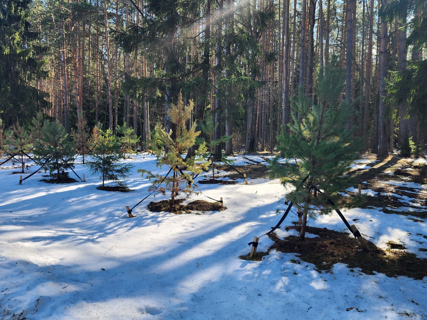 сергиев посад, загорское море, парки подмосковья, премия парки россии,