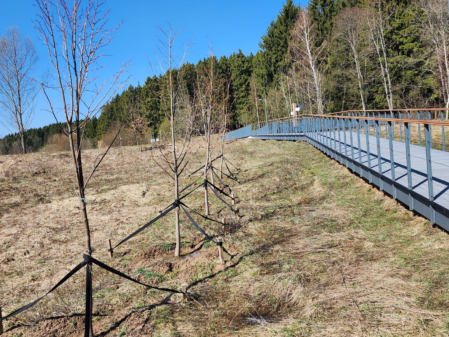 сергиев посад, загорское море, парки подмосковья, премия парки россии,