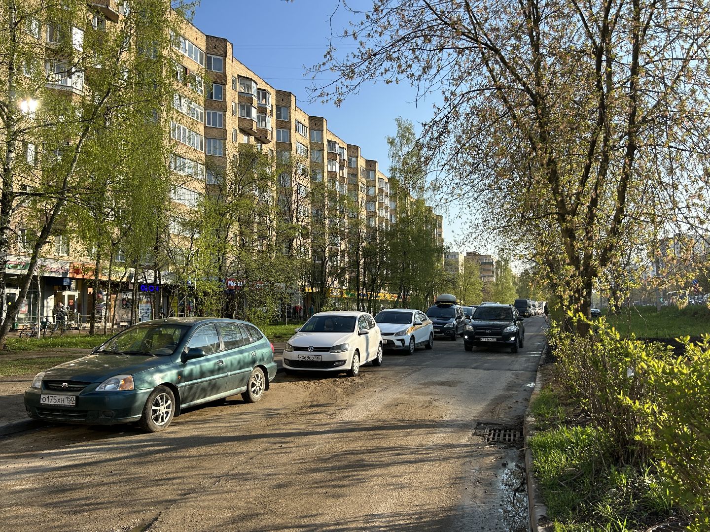 Благоустройство, Фрязино, жители, лес Победы