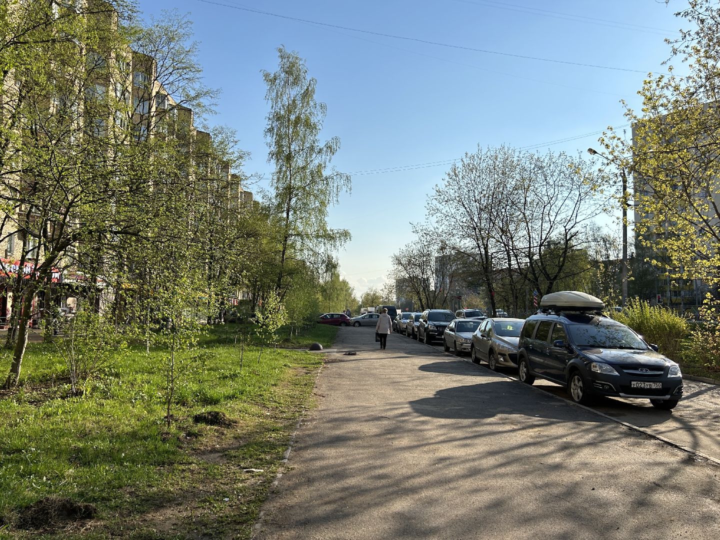 Благоустройство, Фрязино, жители, лес Победы