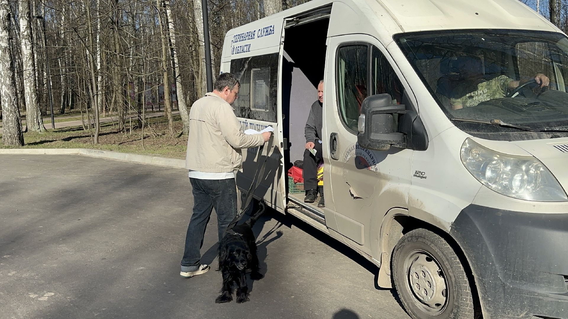 чипирование домашних животных, домодедово,