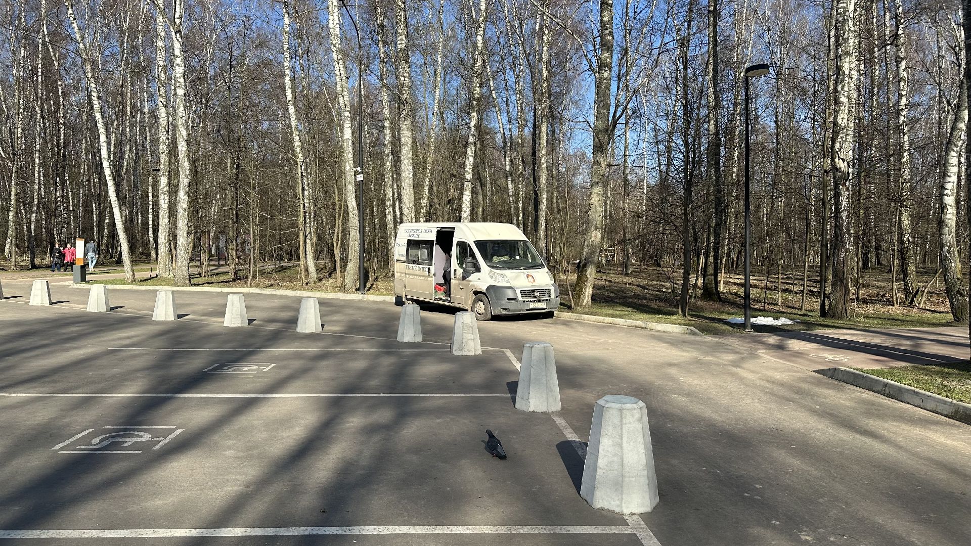 чипирование домашних животных, домодедово,