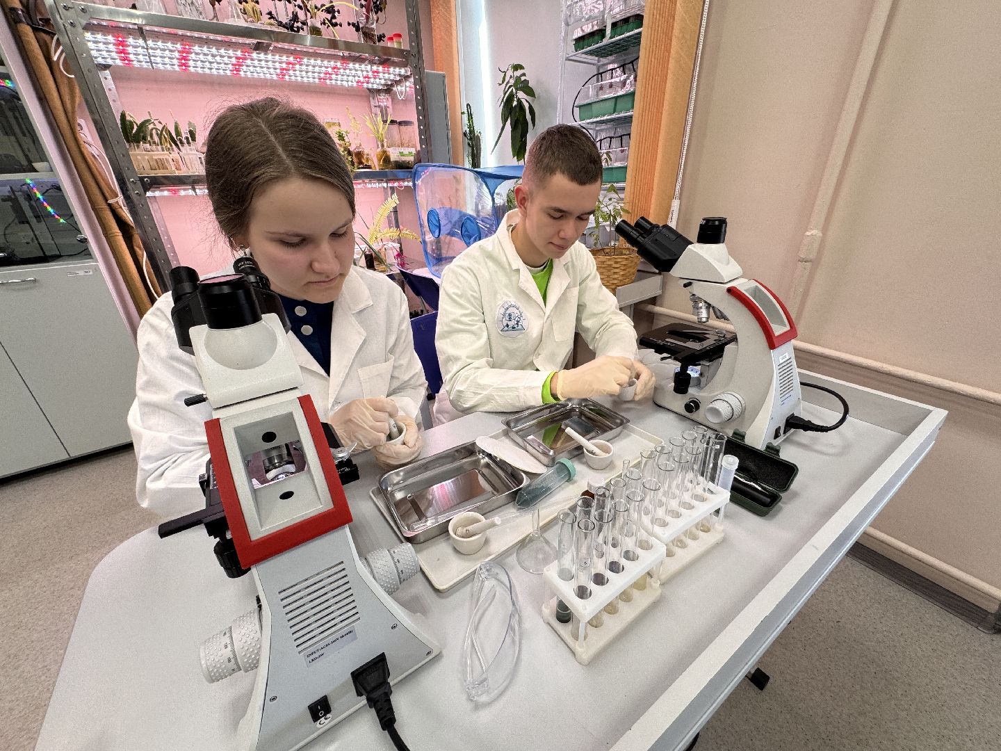 Хакатон , Юные медики из Одинцова, Образование МО,