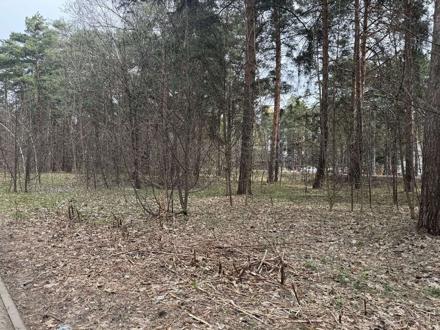 выездная администрация, ленинский городской округ, благоустройство парка,