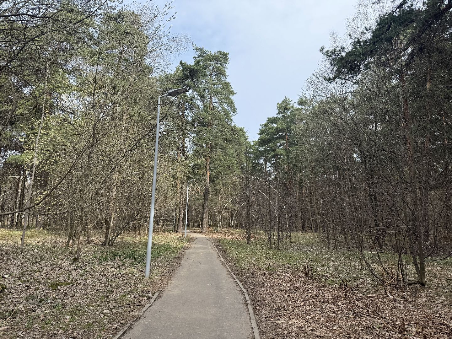 выездная администрация, ленинский городской округ, благоустройство парка,