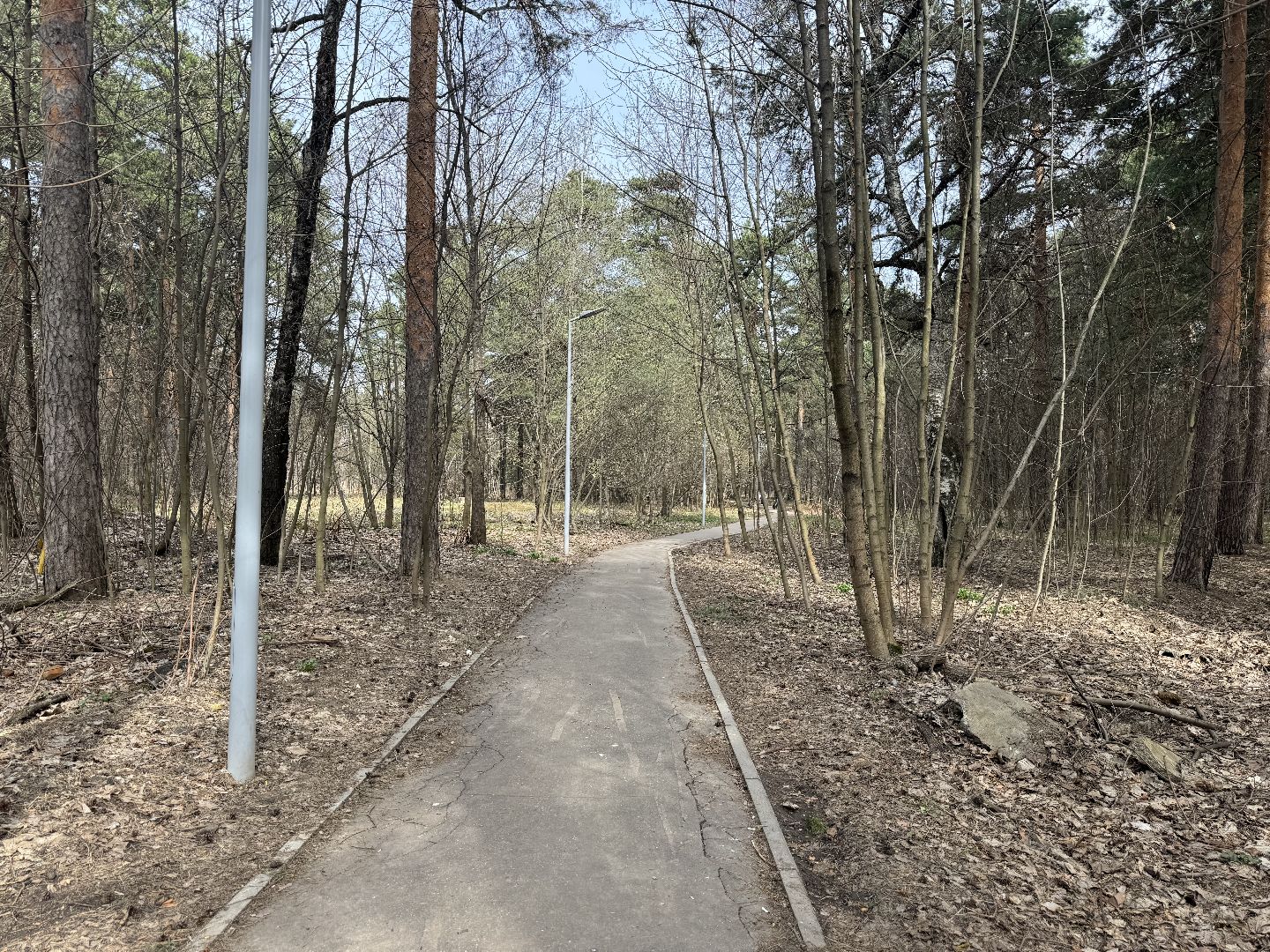 выездная администрация, ленинский городской округ, благоустройство парка,