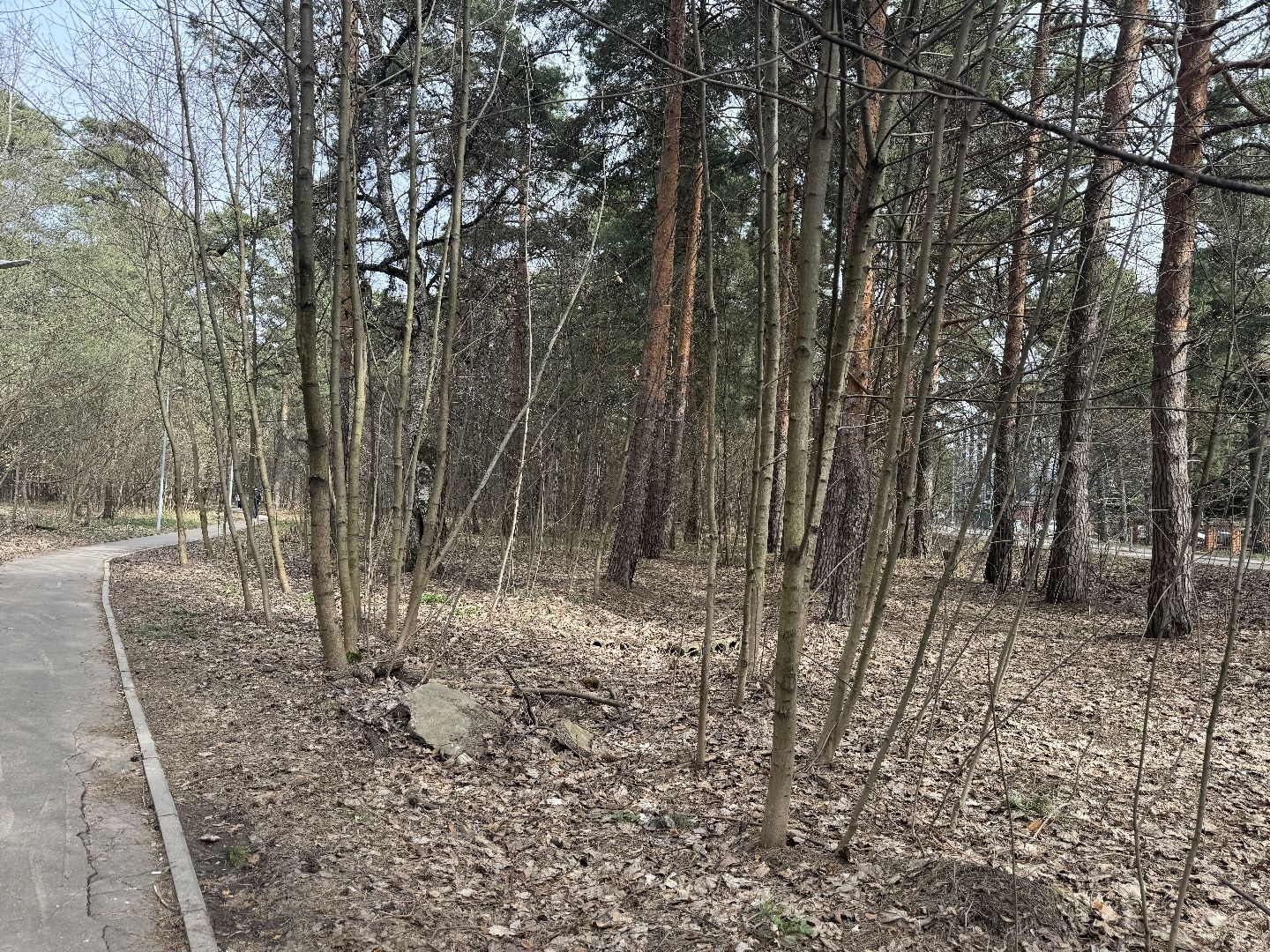 выездная администрация, ленинский городской округ, благоустройство парка,