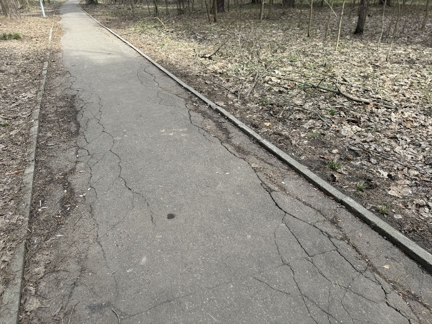 выездная администрация, ленинский городской округ, благоустройство парка,