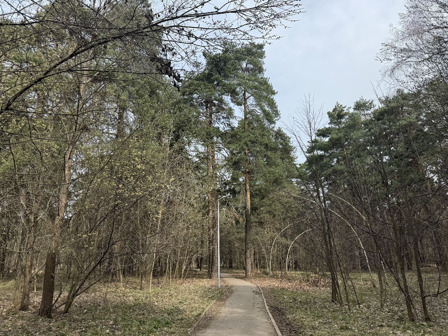 выездная администрация, ленинский городской округ, благоустройство парка,
