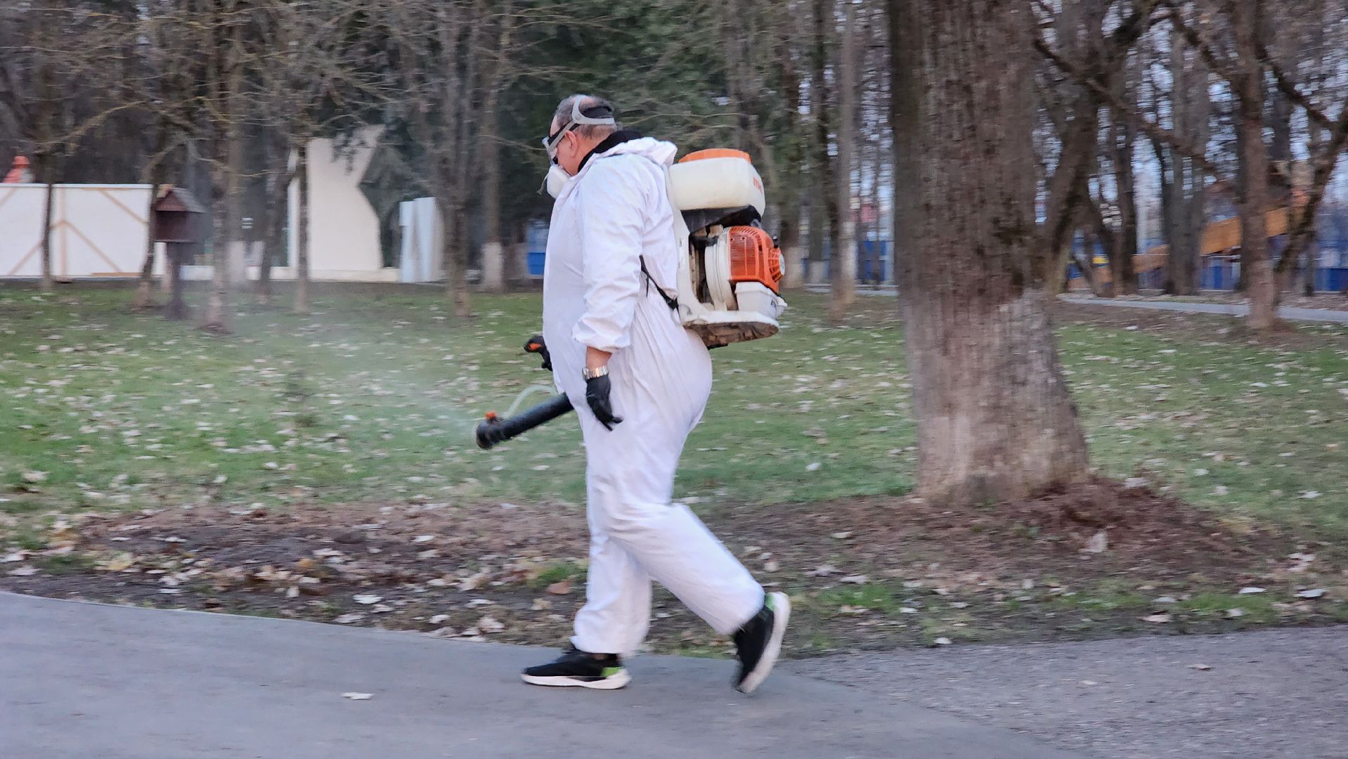 экология, клещи, парк,  обработка от клещей, домодедово, константиново,болезнь лайма, энцефалит,