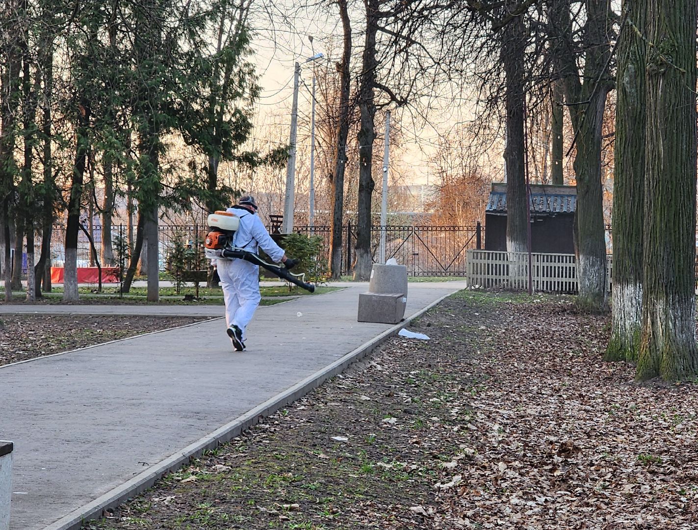 экология, клещи, парк,  обработка от клещей, домодедово, константиново,болезнь лайма, энцефалит,