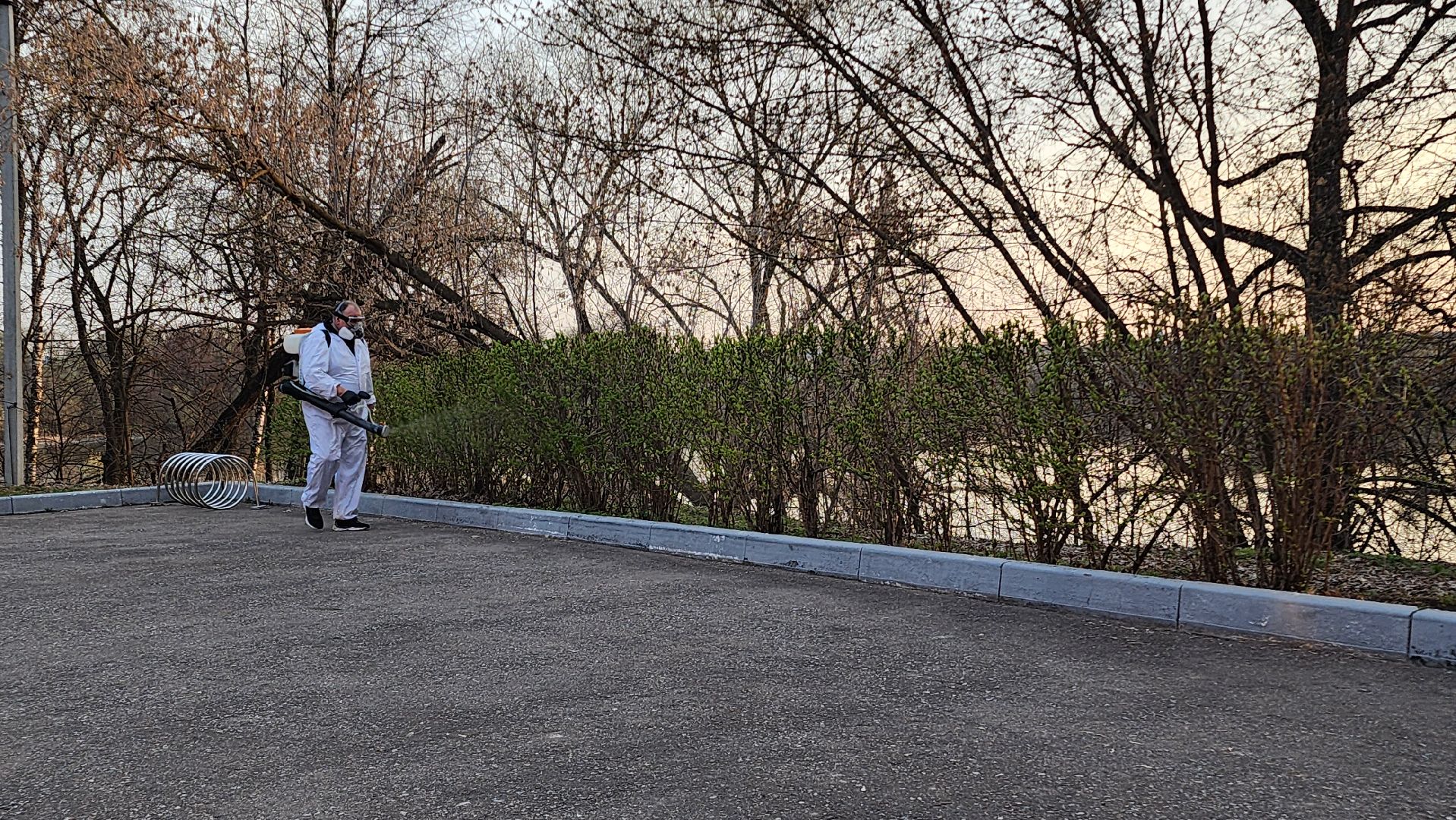 экология, клещи, парк,  обработка от клещей, домодедово, константиново,болезнь лайма, энцефалит,