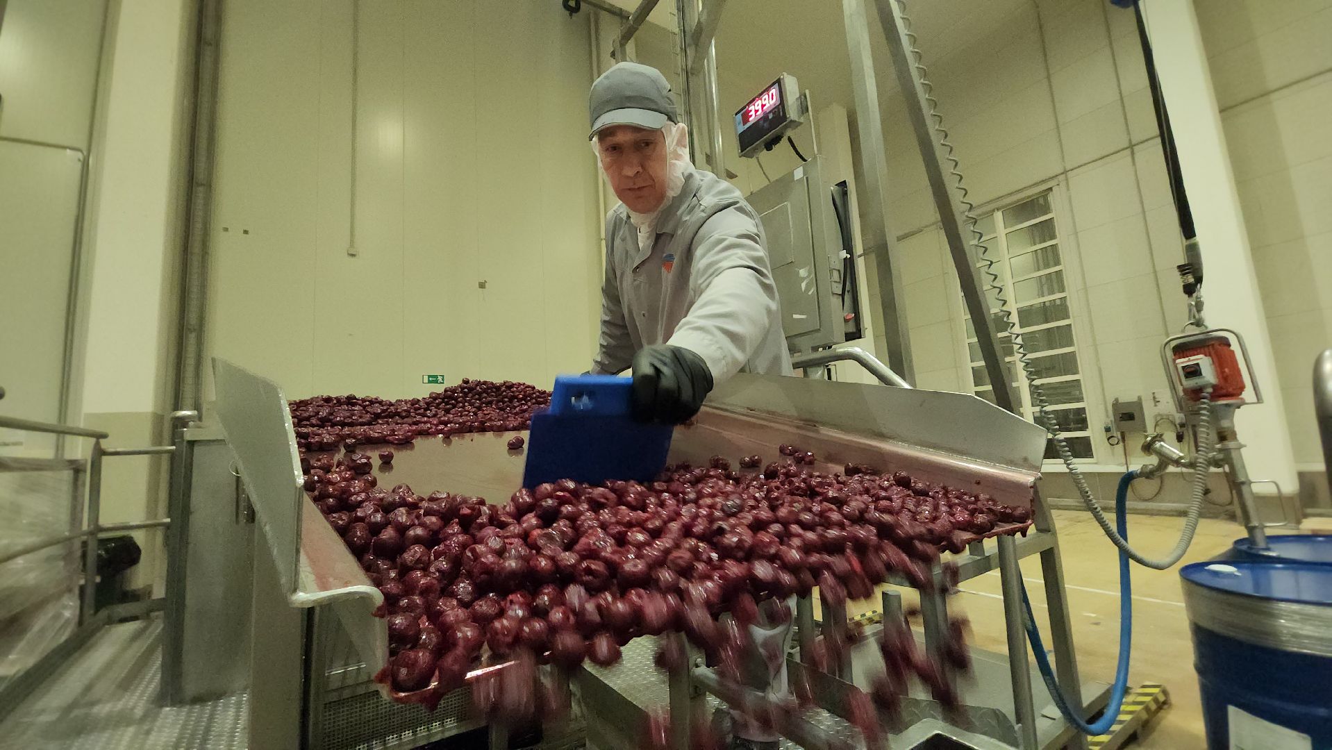 серпухов, аграна фрут, завод фруктовых наполнителей, улица фестивальная, экономика,