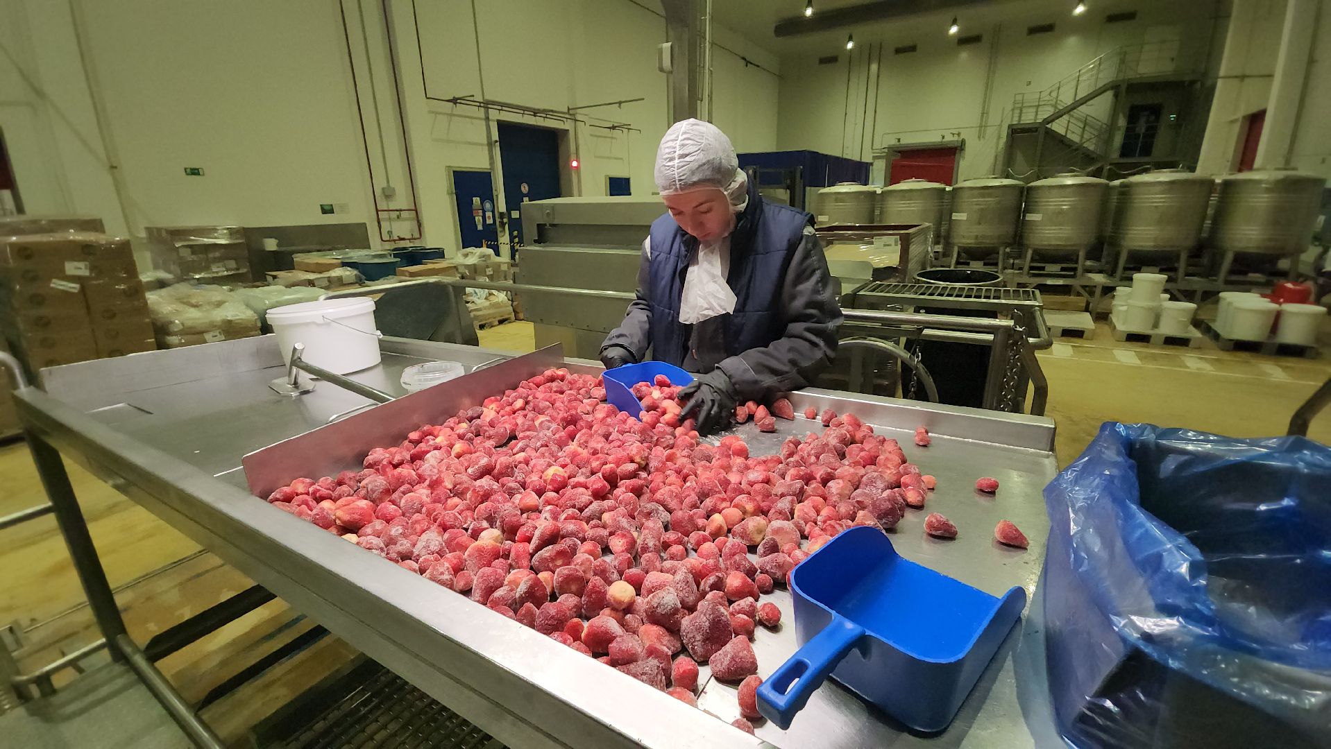 серпухов, аграна фрут, завод фруктовых наполнителей, улица фестивальная, экономика,