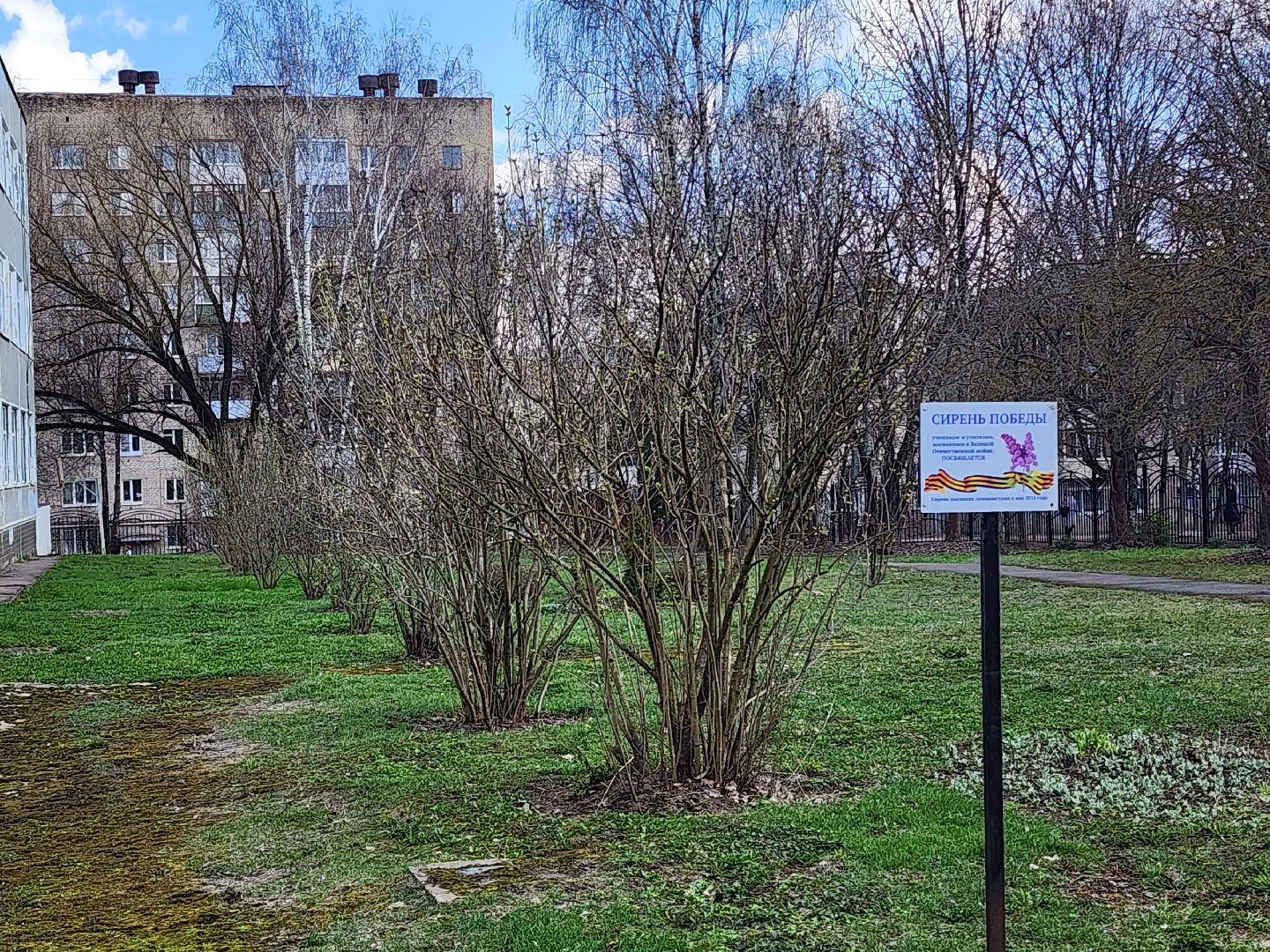 сергиев посад, гимназия 5, день победы,