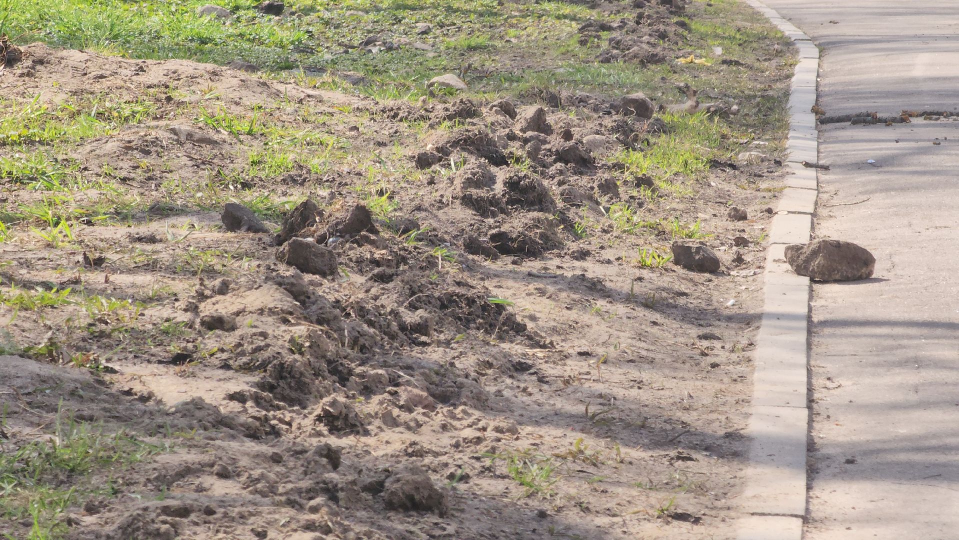 павловский  посад, благоустровйство, школа,