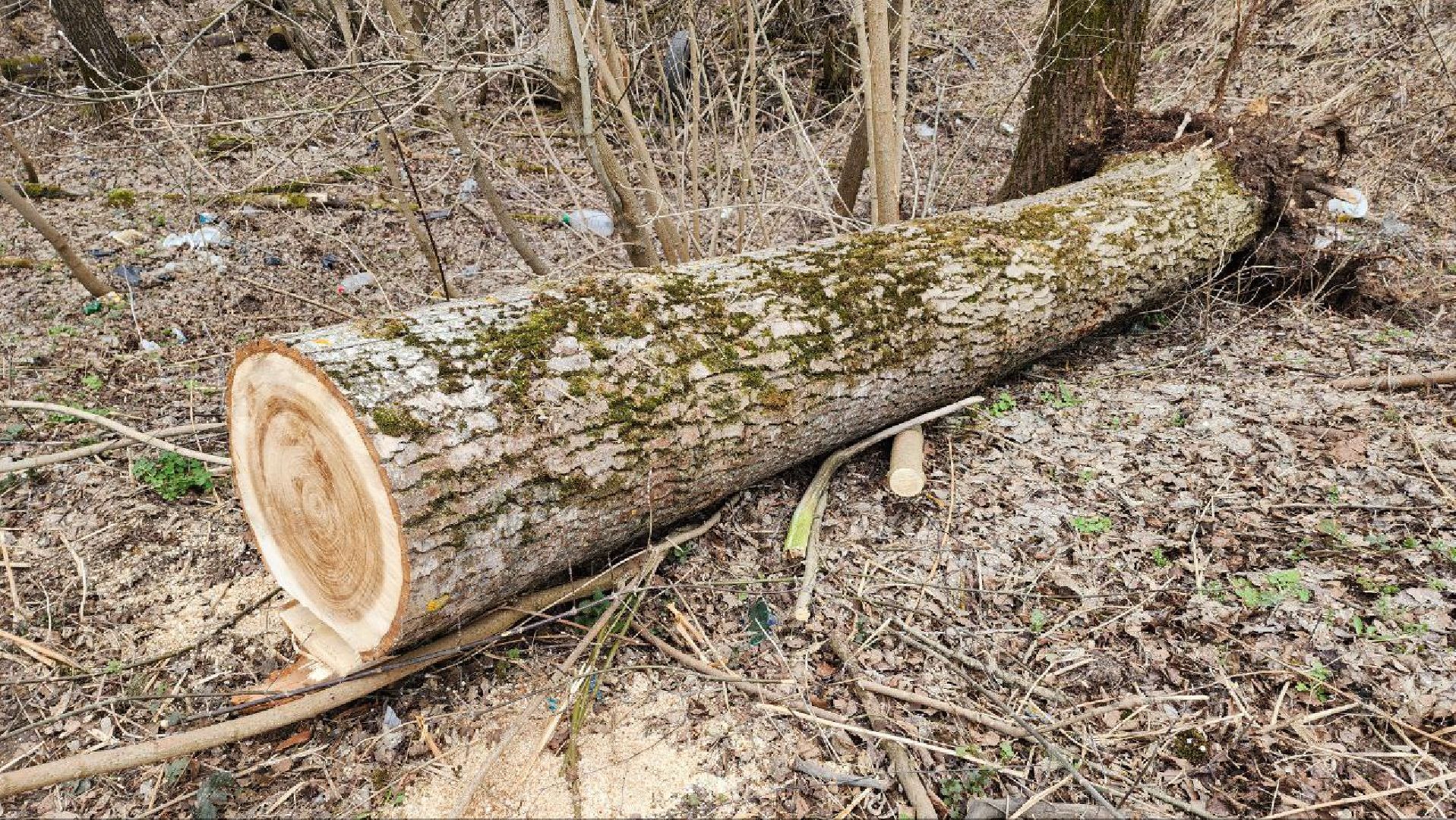 Талдом, Запрудня, Минблаго,