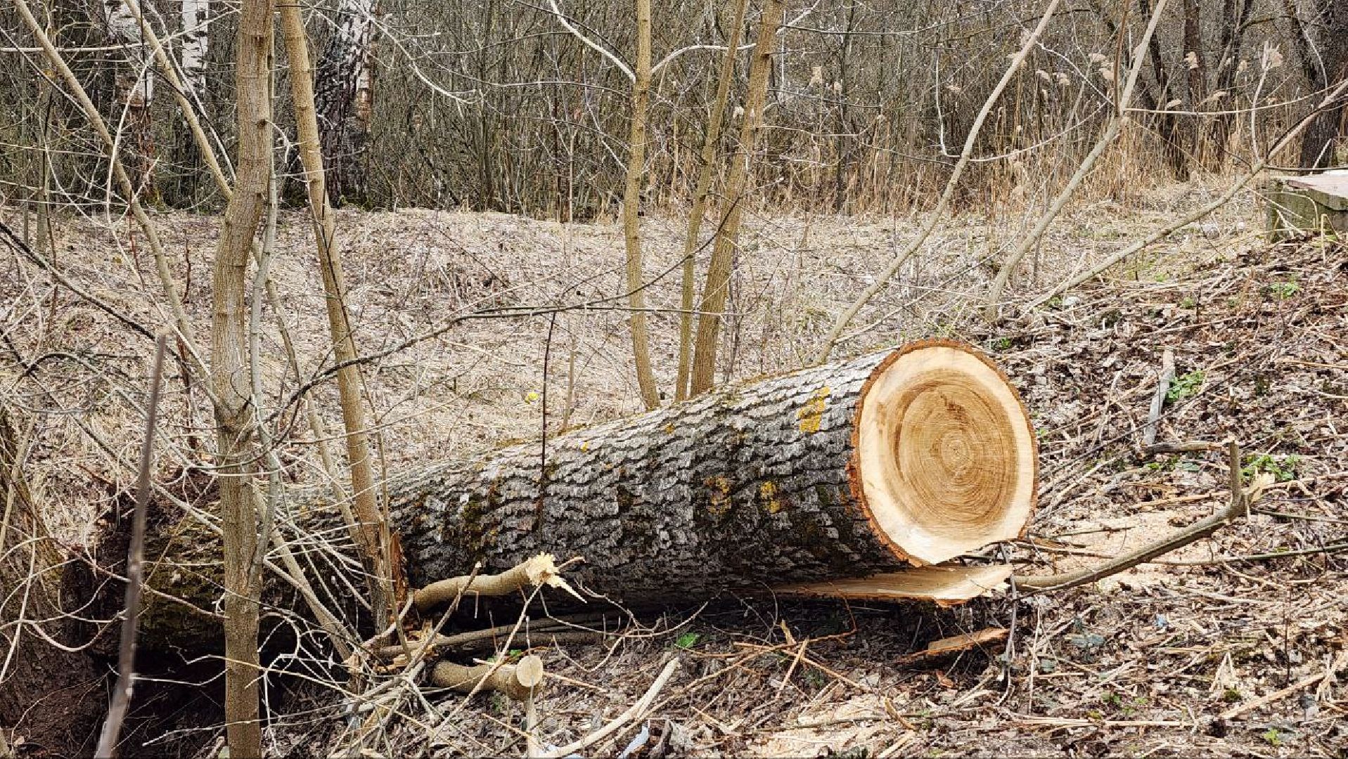 Талдом, Запрудня, Минблаго,