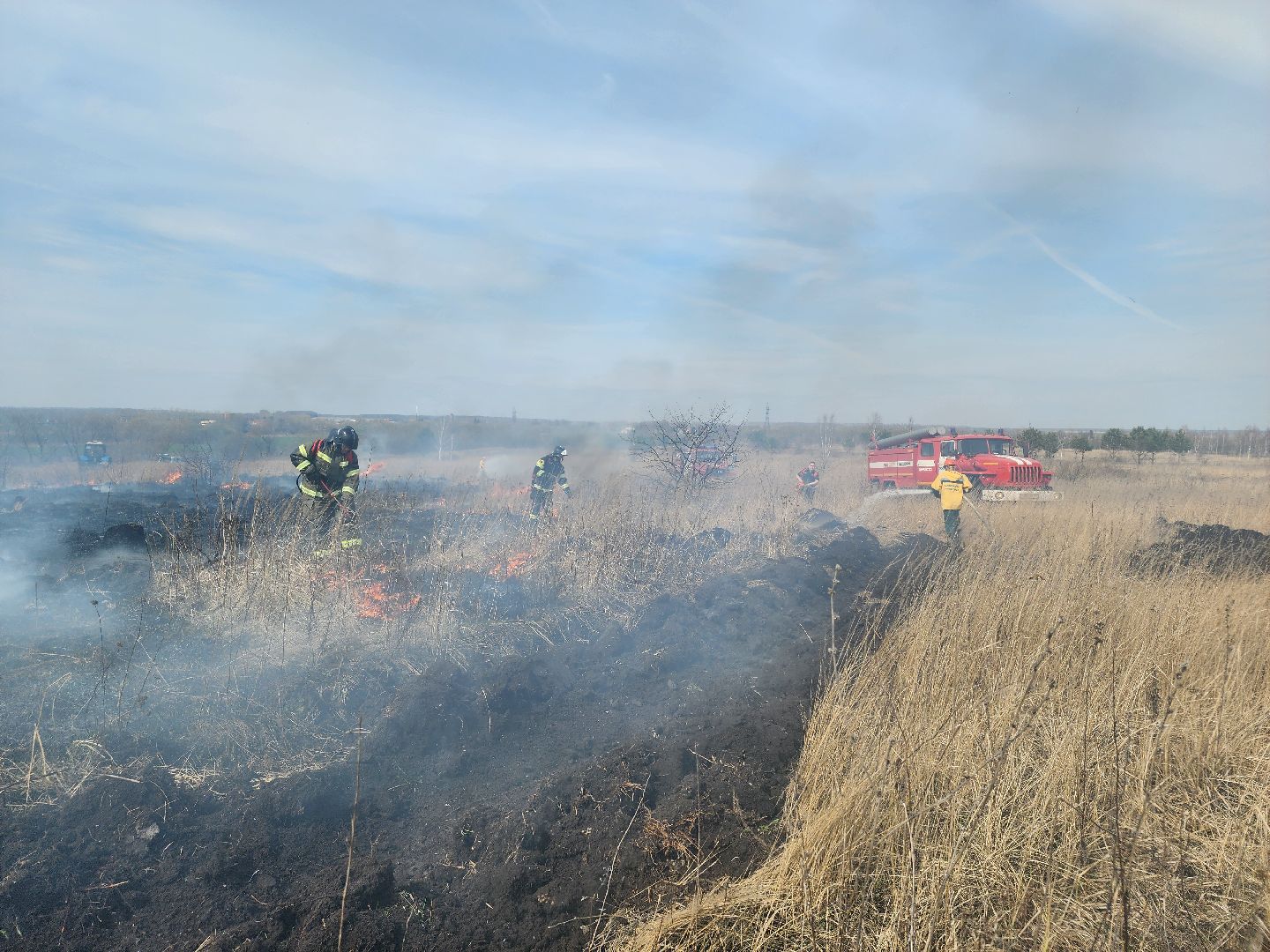 Зарайск, Пожары, Поджоги травы, Лесная охрана, Тактические учения,