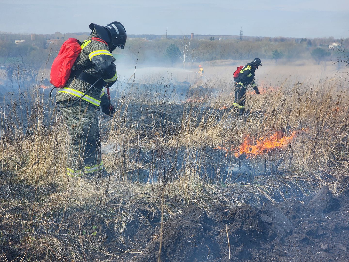 Зарайск, Пожары, Поджоги травы, Лесная охрана, Тактические учения,