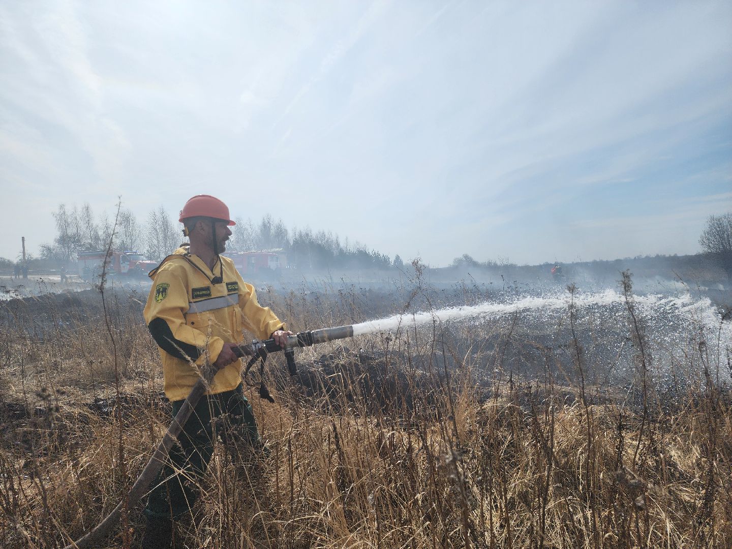 Зарайск, Пожары, Поджоги травы, Лесная охрана, Тактические учения,