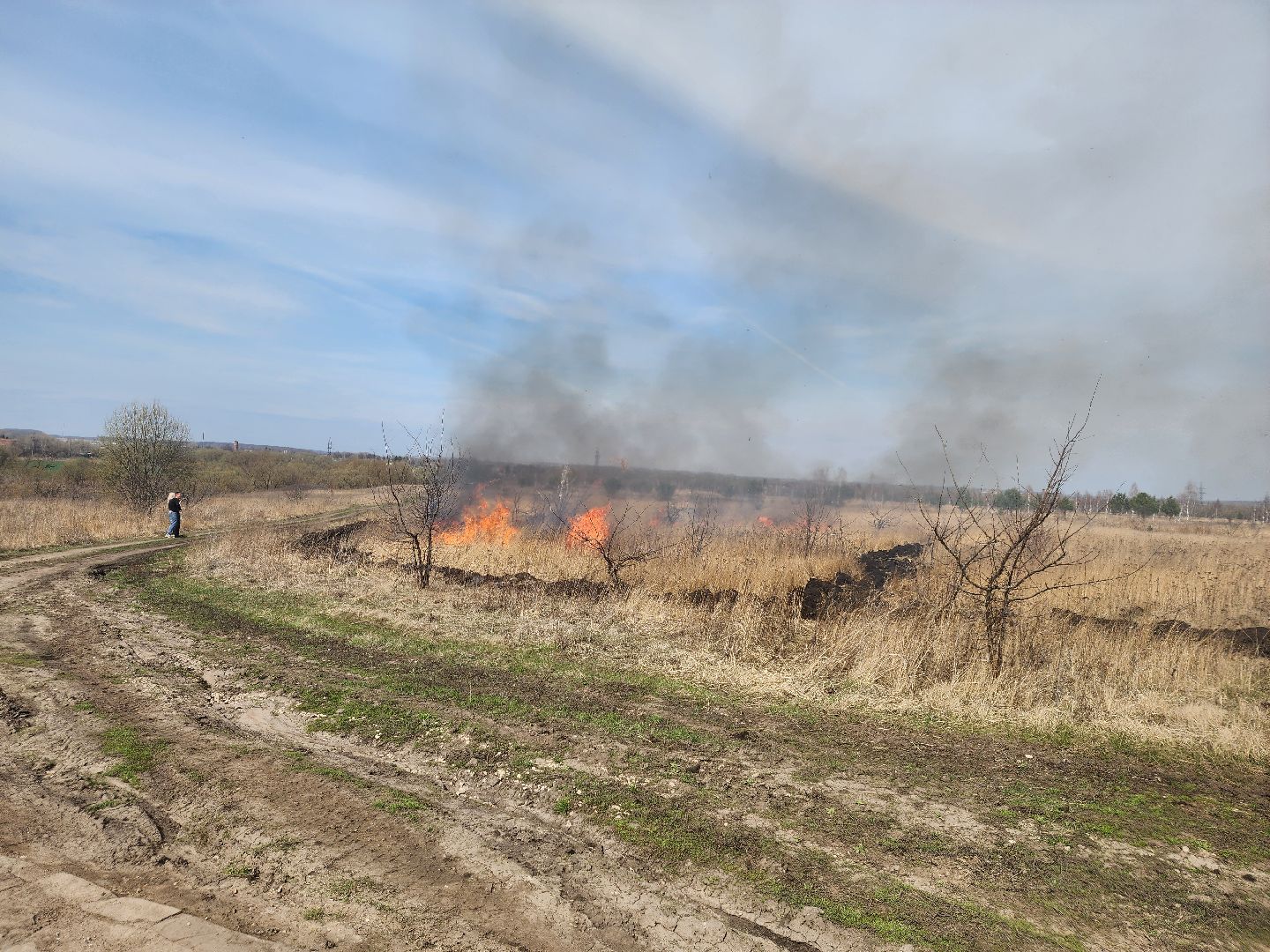 Зарайск, Пожары, Поджоги травы, Лесная охрана, Тактические учения,