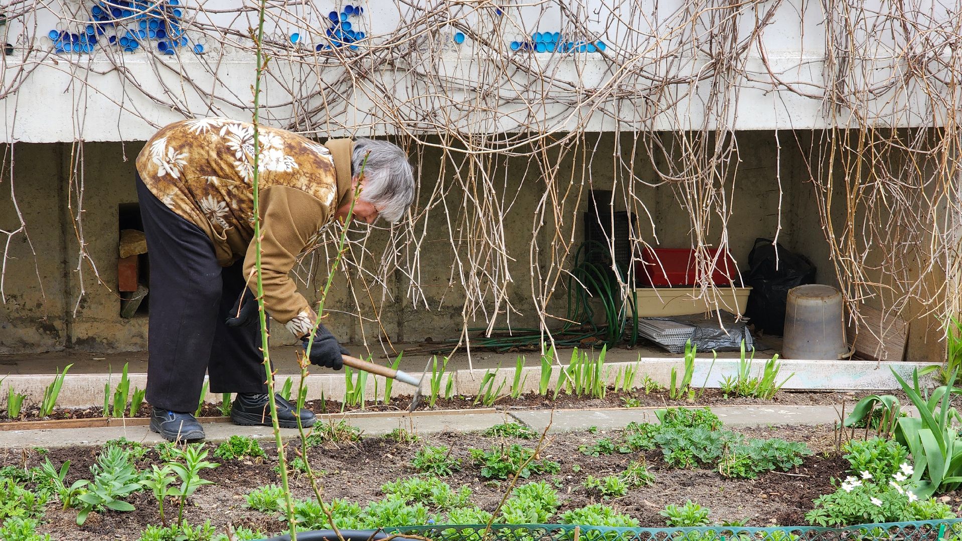 обход города, протвино, благоустройство,