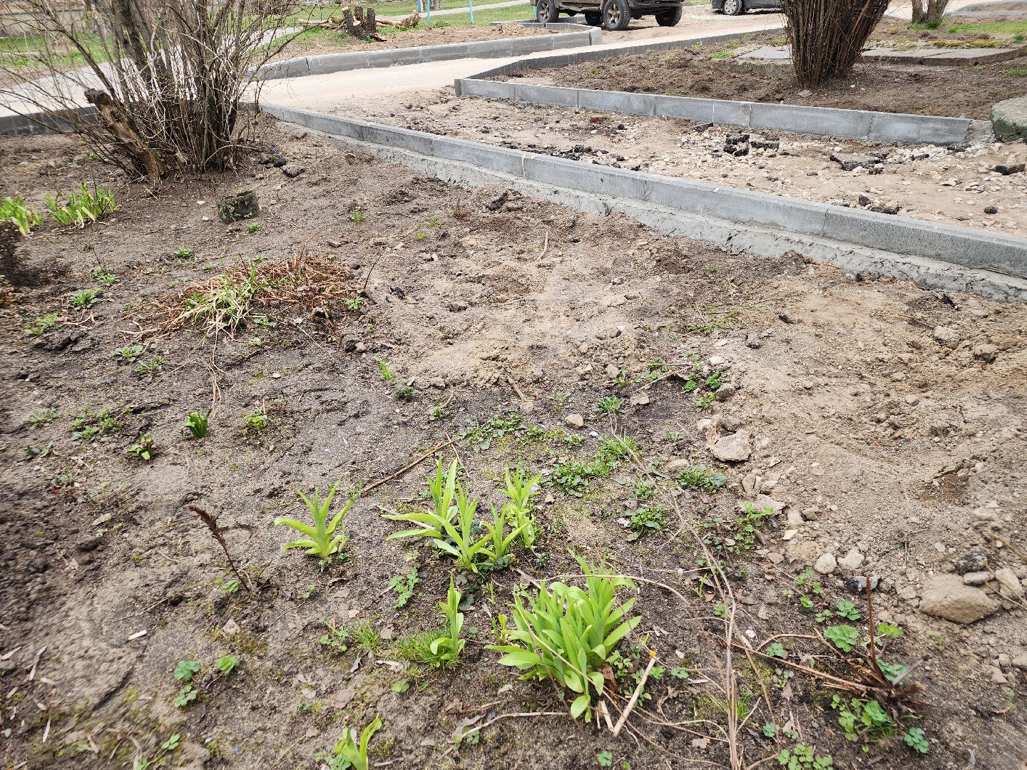 благоустройство дворов, орехово-зуевский округ, малая дубна,