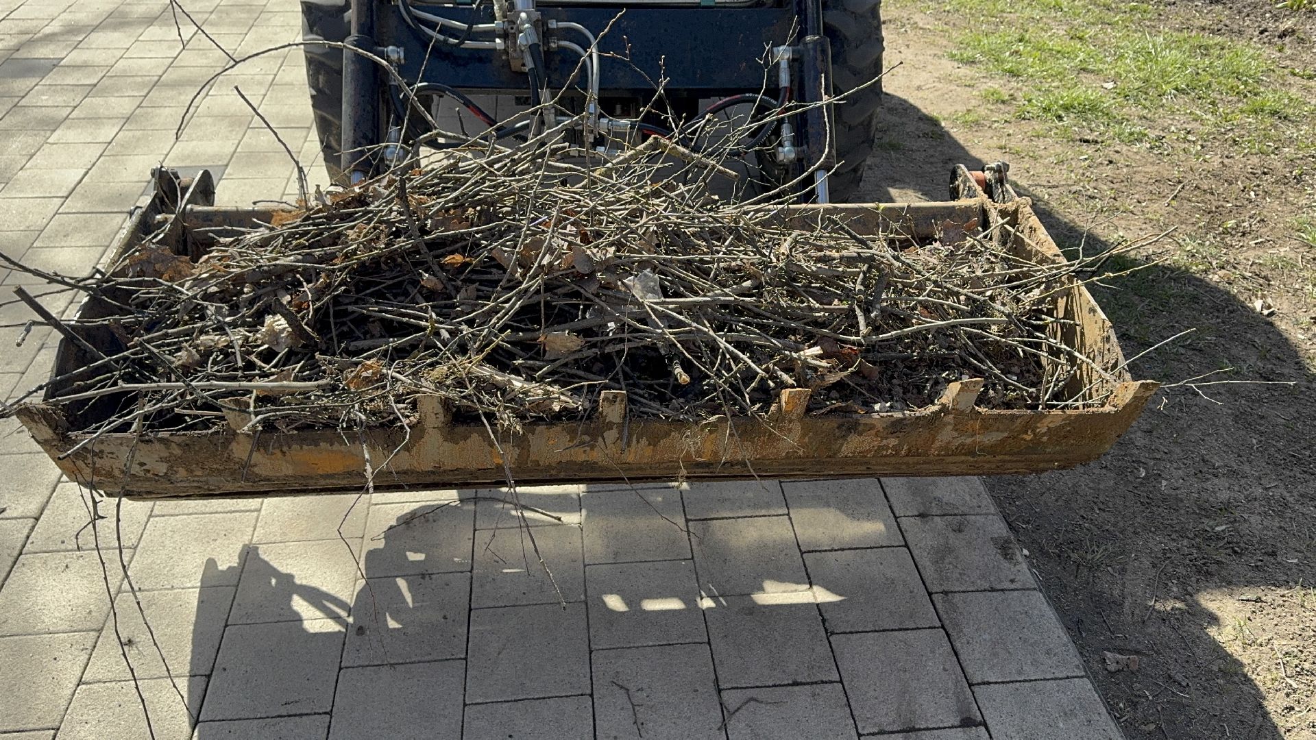 солнечногорск, уборка территории, городской парк, жители, листва,