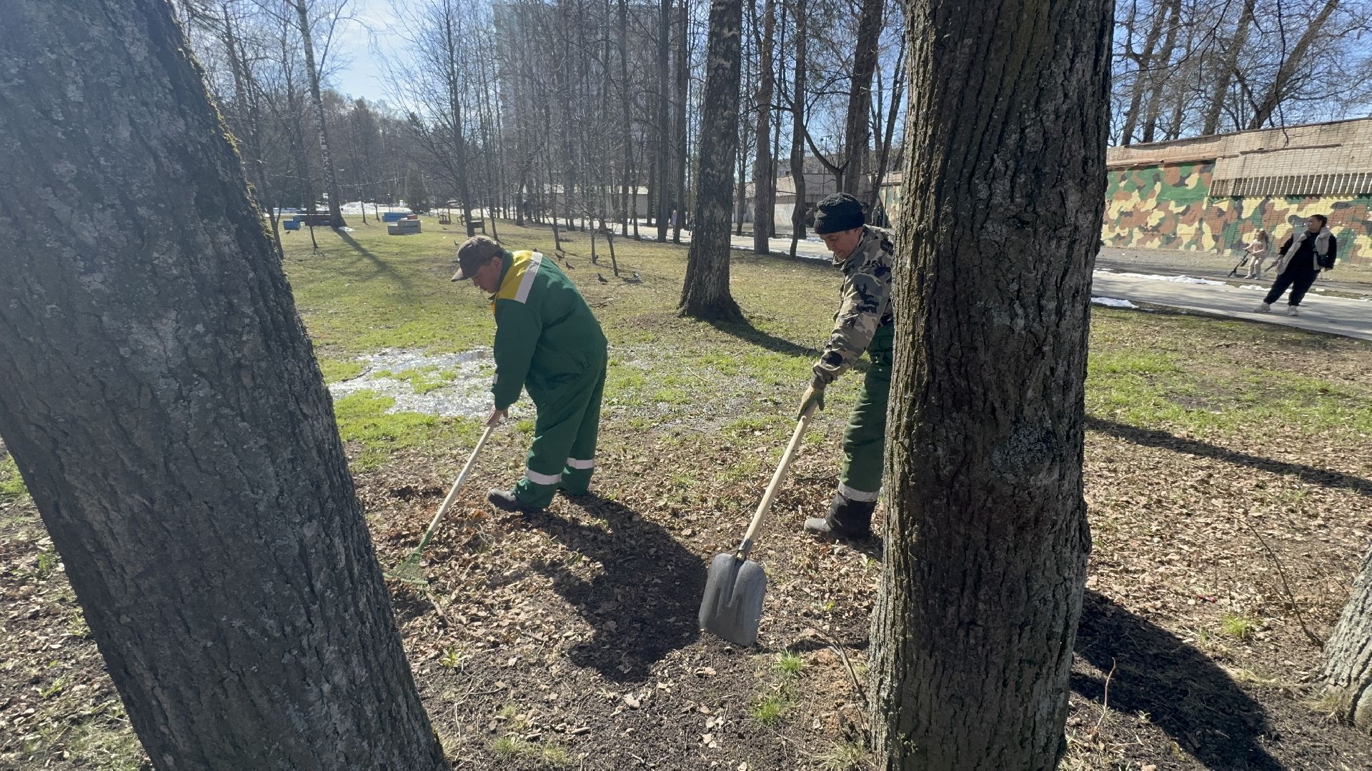 солнечногорск, уборка территории, городской парк, жители, листва,