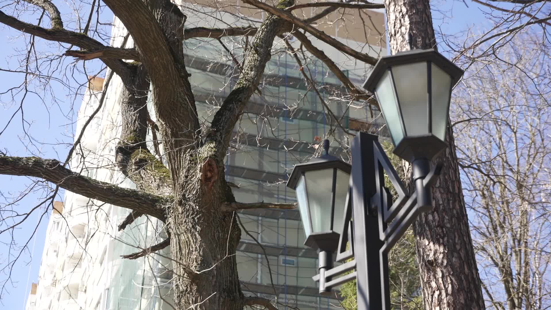 /mediabank_mount//68126/494787ddda5c990166b1509f0f79549d.jpg