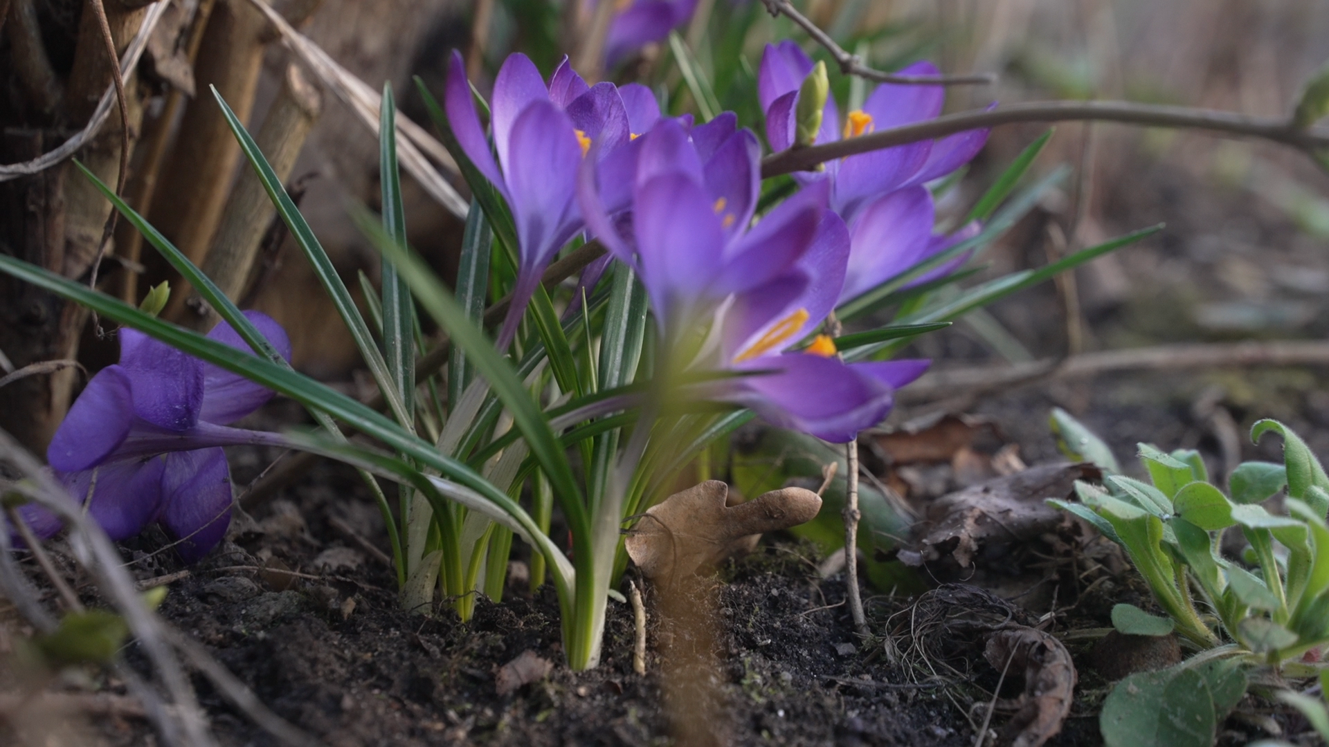 обход территории, власиха глава города, микрорайон заозерный власиха, власиха заозерный, благоустройство территории,