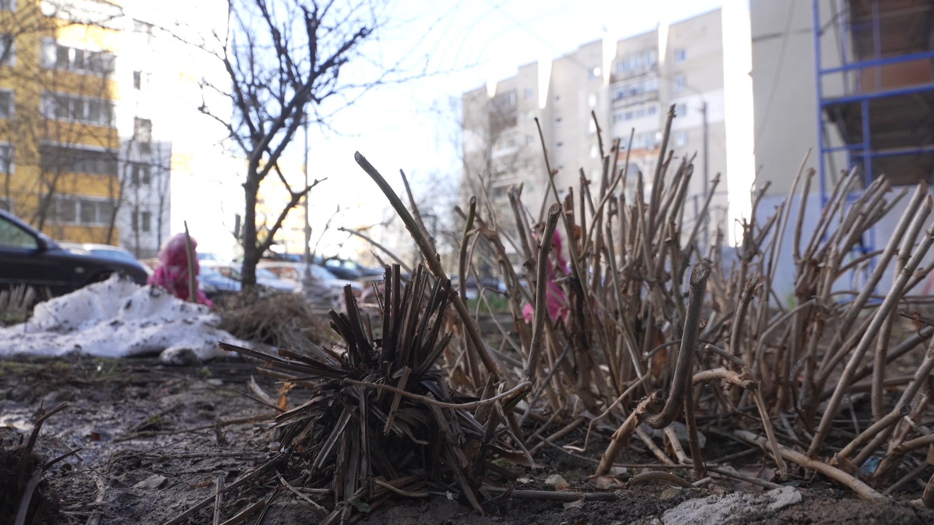 обход территории, власиха глава города, микрорайон заозерный власиха, власиха заозерный, благоустройство территории,