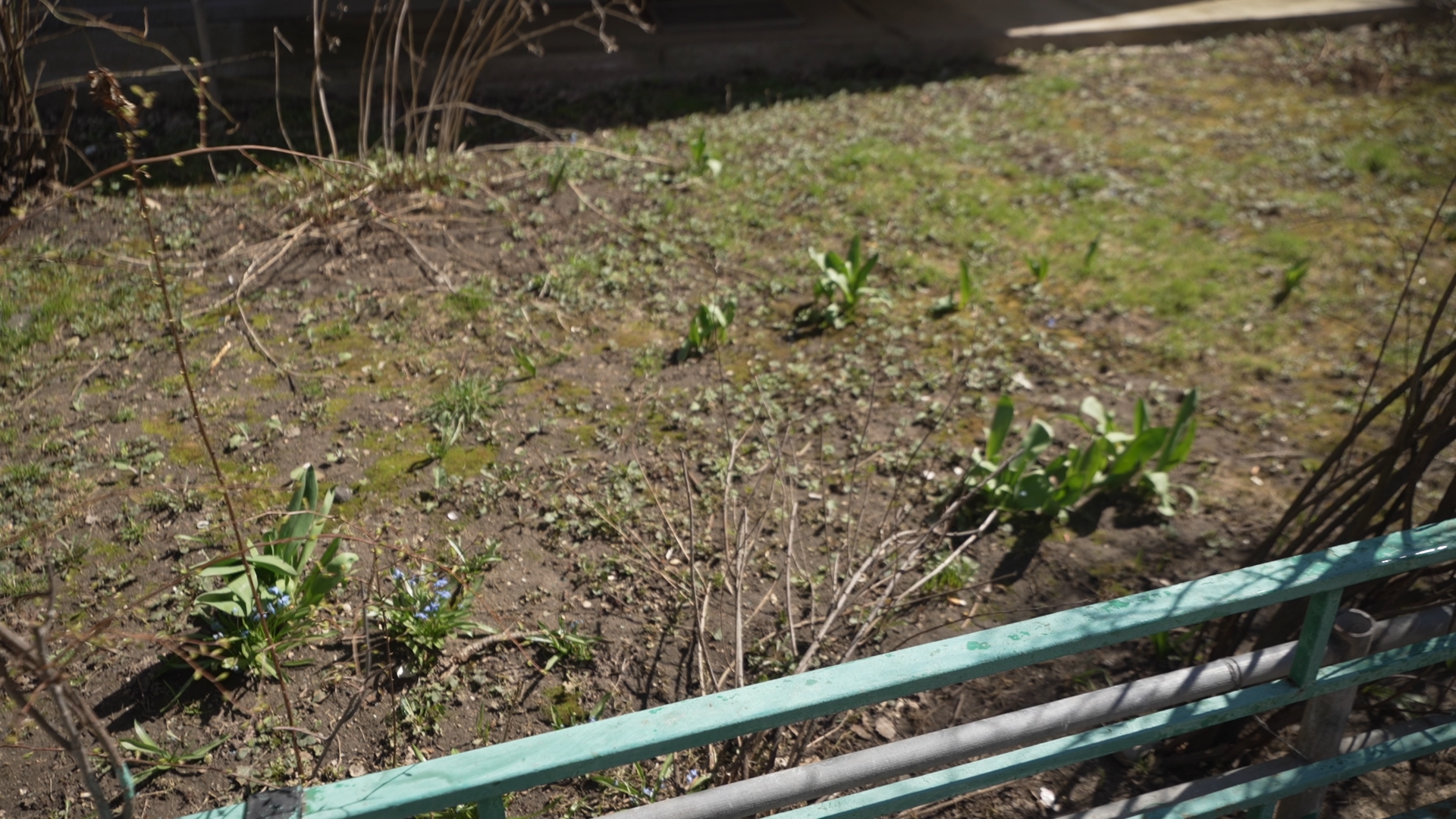 обход территории, власиха глава города, микрорайон заозерный власиха, власиха заозерный, благоустройство территории,