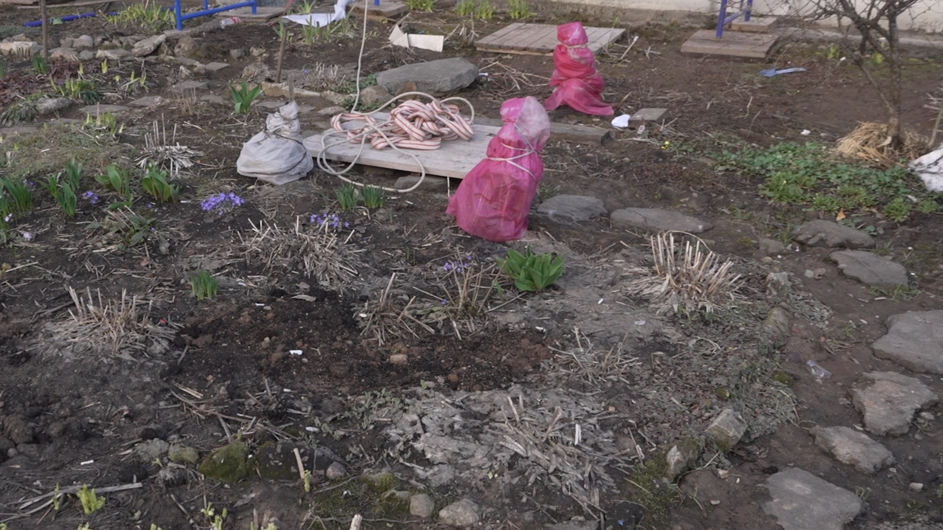 обход территории, власиха глава города, микрорайон заозерный власиха, власиха заозерный, благоустройство территории,