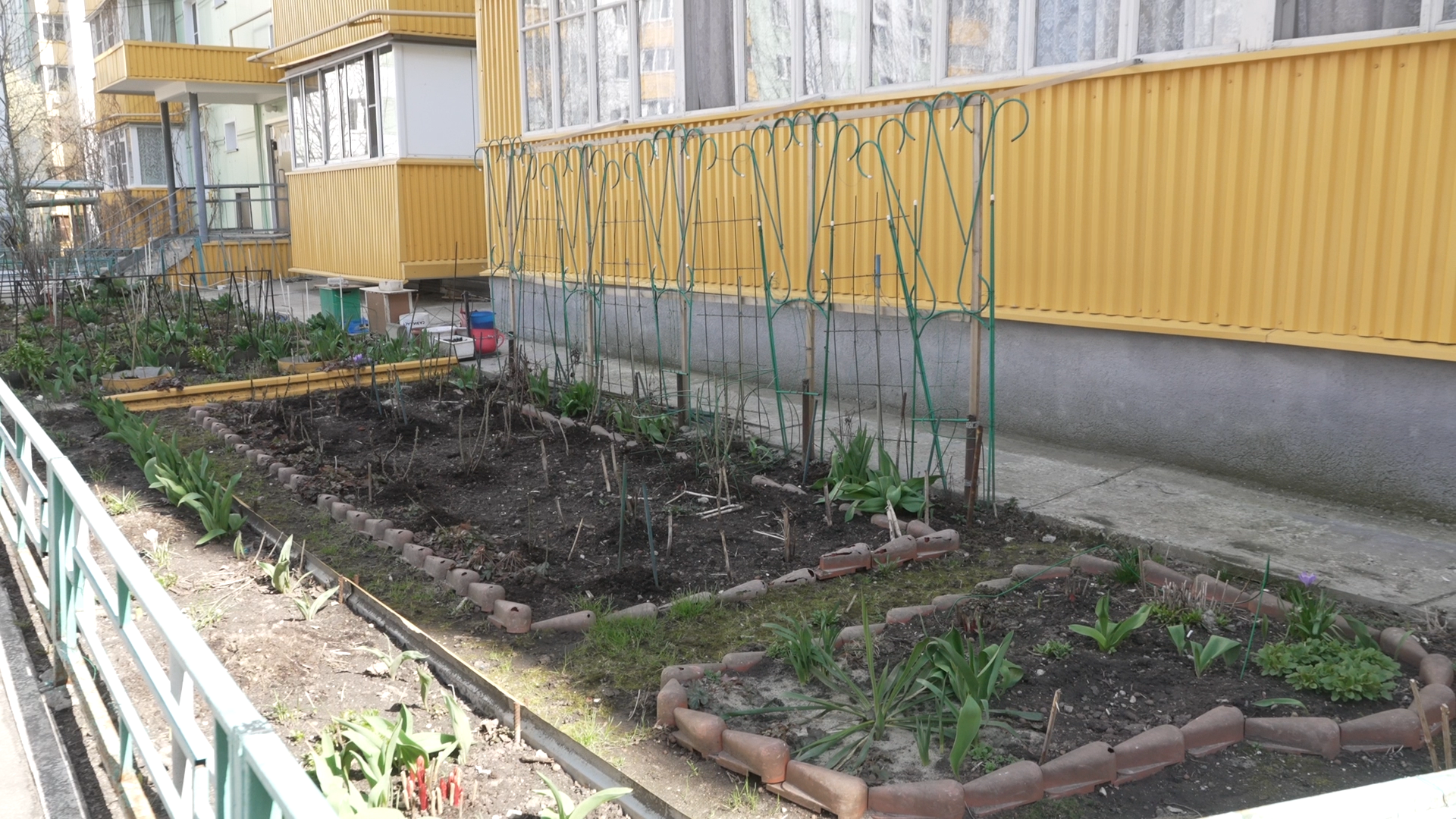 обход территории, власиха глава города, микрорайон заозерный власиха, власиха заозерный, благоустройство территории,