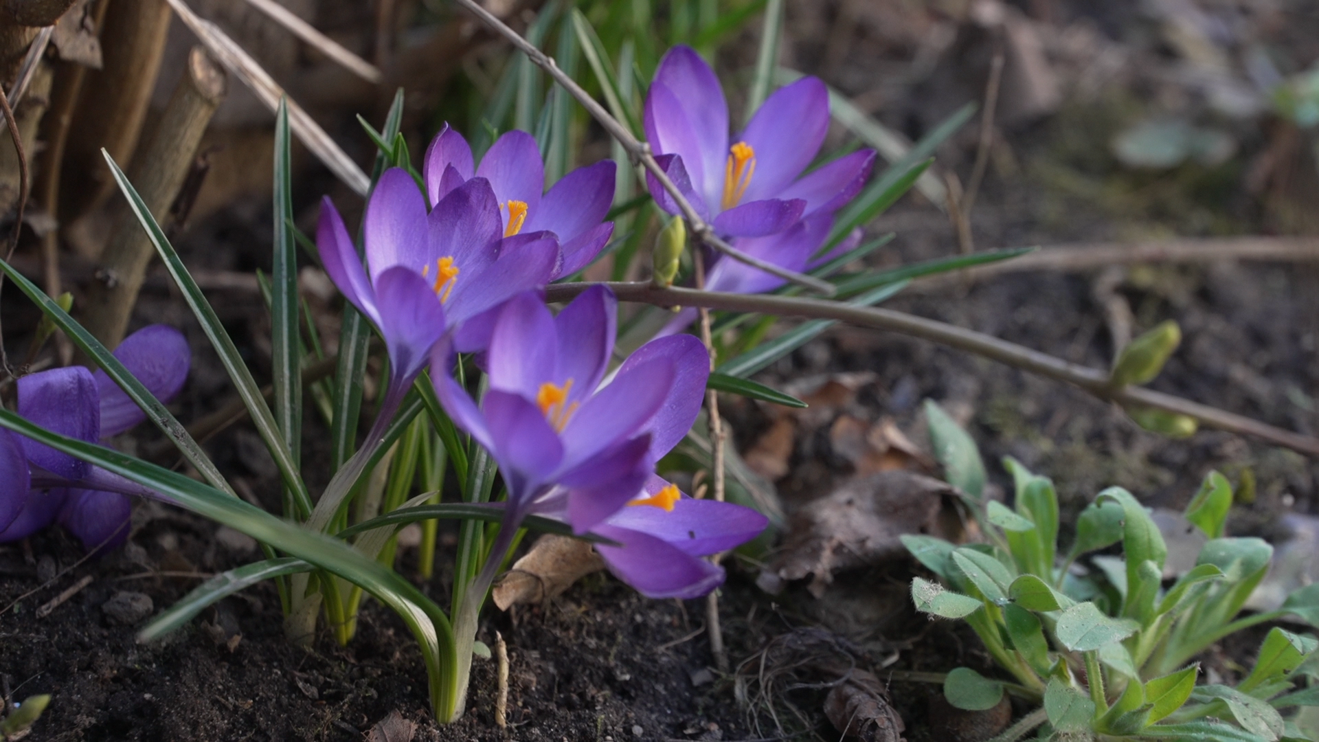 обход территории, власиха глава города, микрорайон заозерный власиха, власиха заозерный, благоустройство территории,
