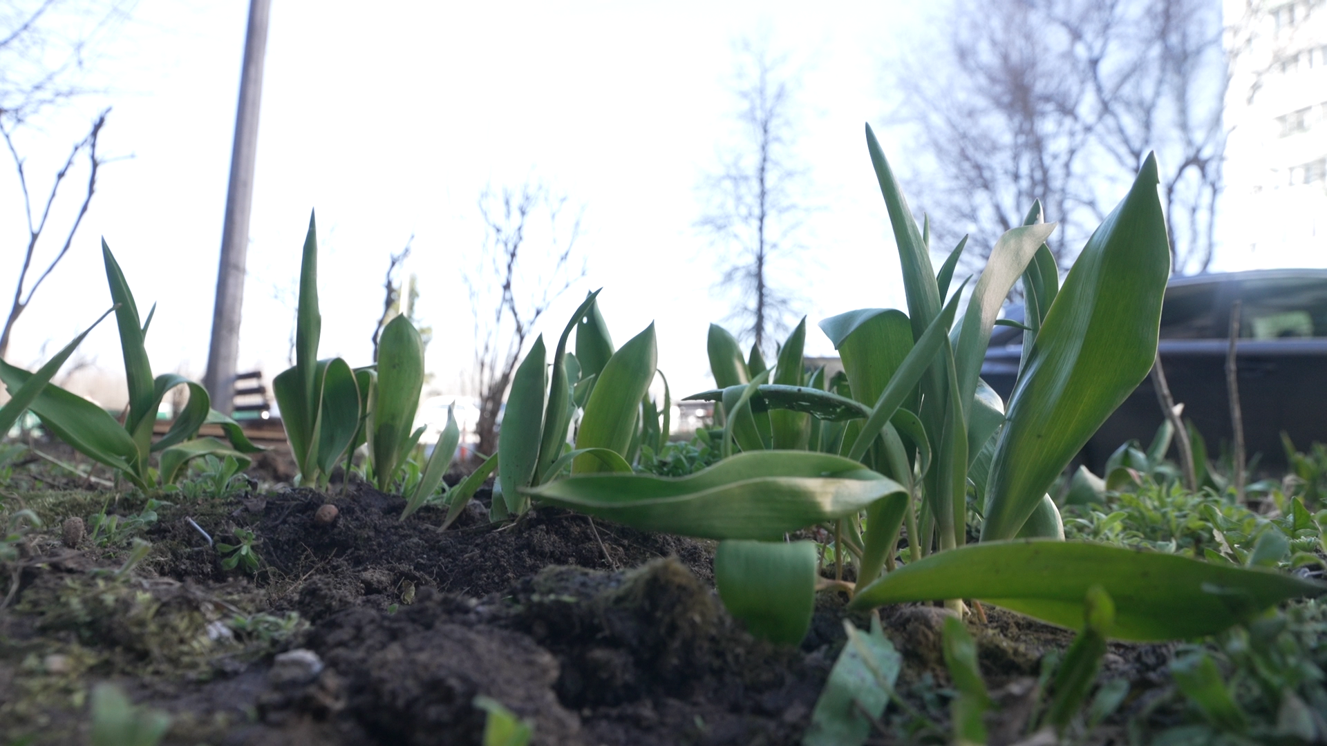 обход территории, власиха глава города, микрорайон заозерный власиха, власиха заозерный, благоустройство территории,