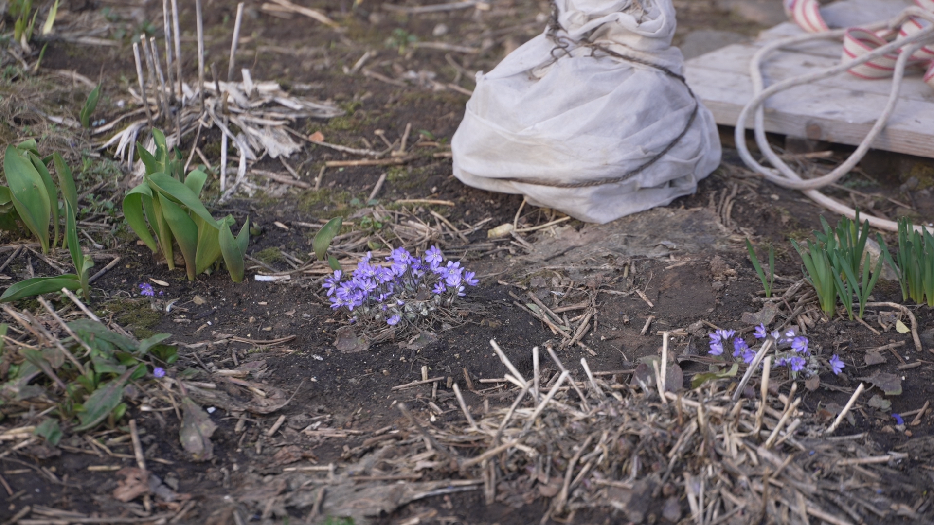 обход территории, власиха глава города, микрорайон заозерный власиха, власиха заозерный, благоустройство территории,