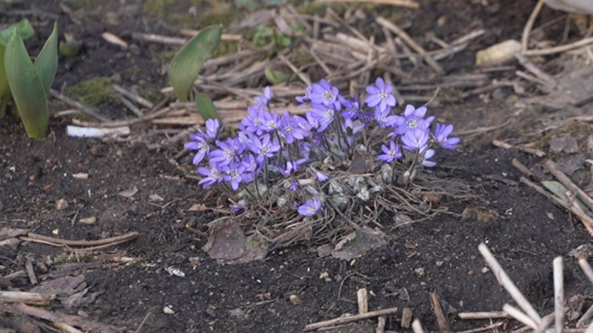 обход территории, власиха глава города, микрорайон заозерный власиха, власиха заозерный, благоустройство территории,