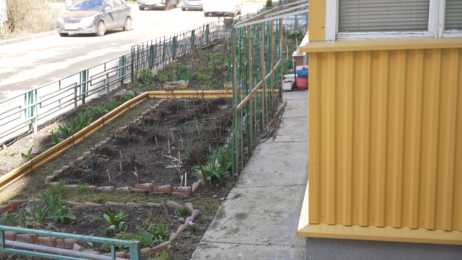 обход территории, власиха глава города, микрорайон заозерный власиха, власиха заозерный, благоустройство территории,