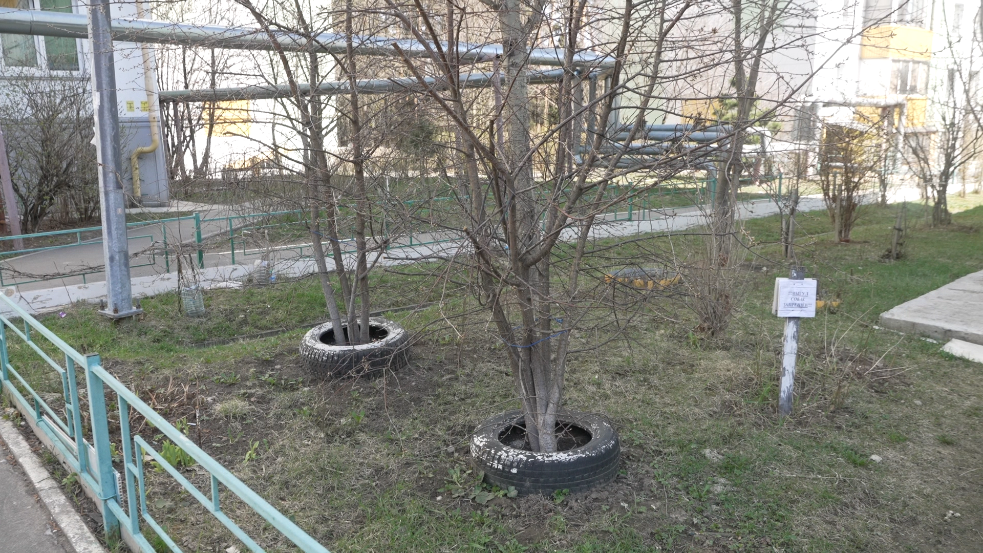 обход территории, власиха глава города, микрорайон заозерный власиха, власиха заозерный, благоустройство территории,